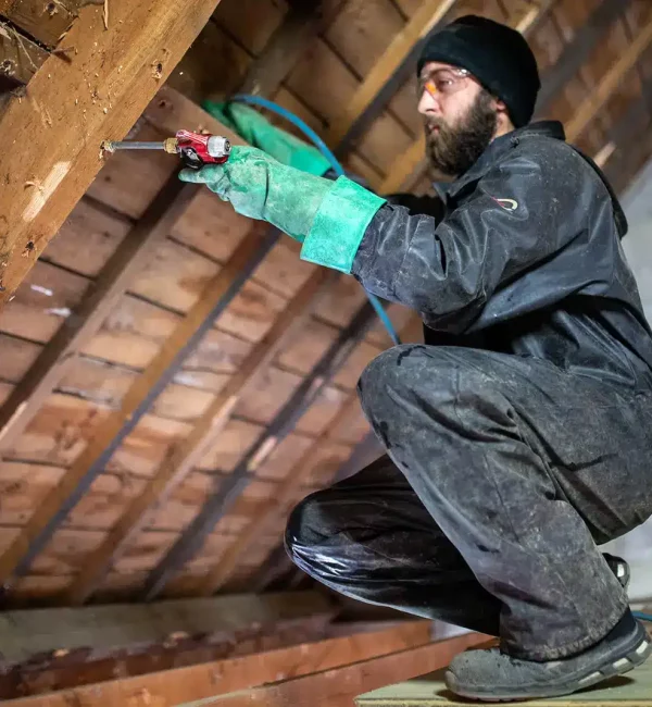 traiter efficacement une charpente en bois